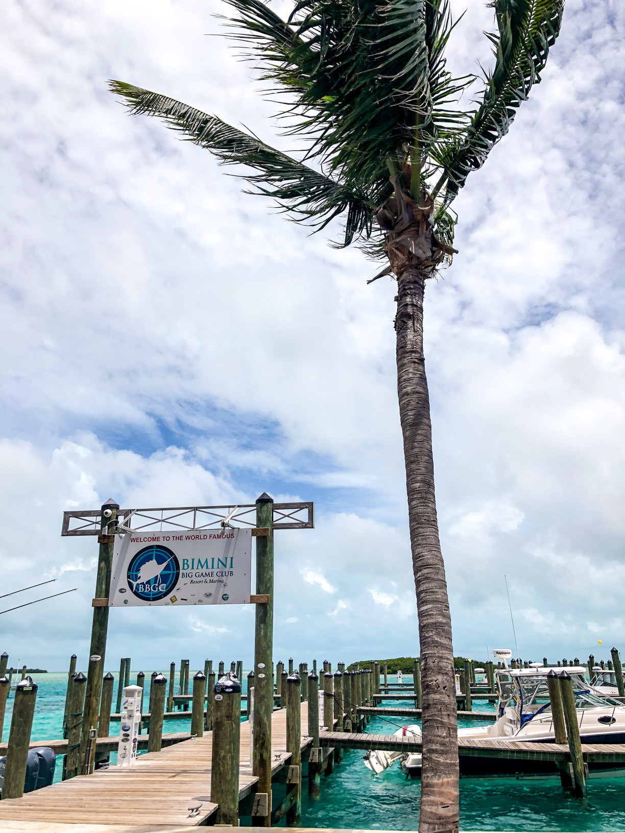 Exterior of Bimini Big Game Club with marina view