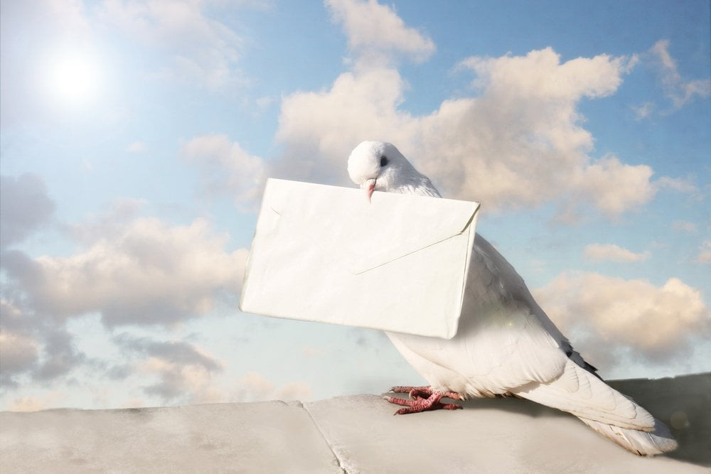 A historical depiction of war pigeons in action