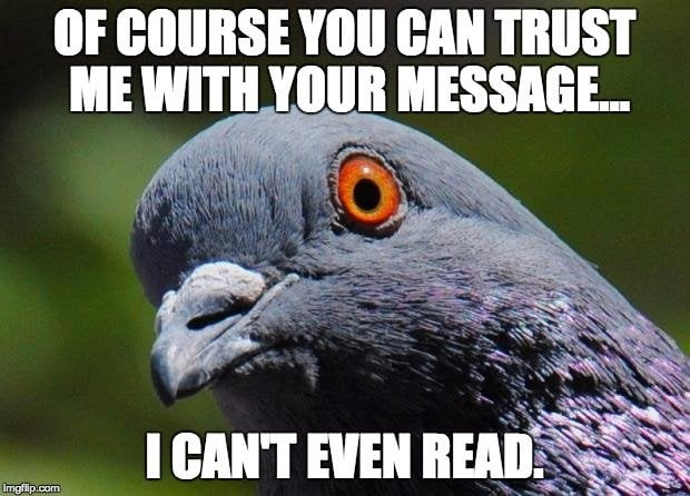 Carrier pigeon with message tube attached to its leg