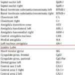 Table 2. Names and symbols of different structures of Limbic Lobe and Cerebral Nuclei. The names were extracted from the Allen Institute for Brain Sciences.