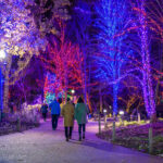 ZooLights at Lincoln Park Zoo