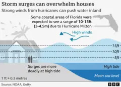 BBC annotated graphic depicting Hurricane Milton making landfall in Florida.