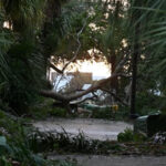Aftermath of Hurricane Milton in Sarasota, Florida, showing floodwaters and debris.