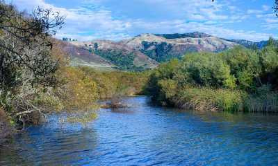 Andrew Molera State Park