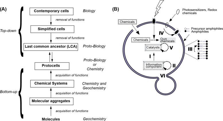 Protocell development: Top-down and bottom-up approaches converging on a functional protocell model.