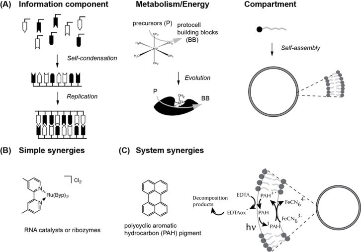Bottom-up research strategies exploring protocell component integration and system complexity.