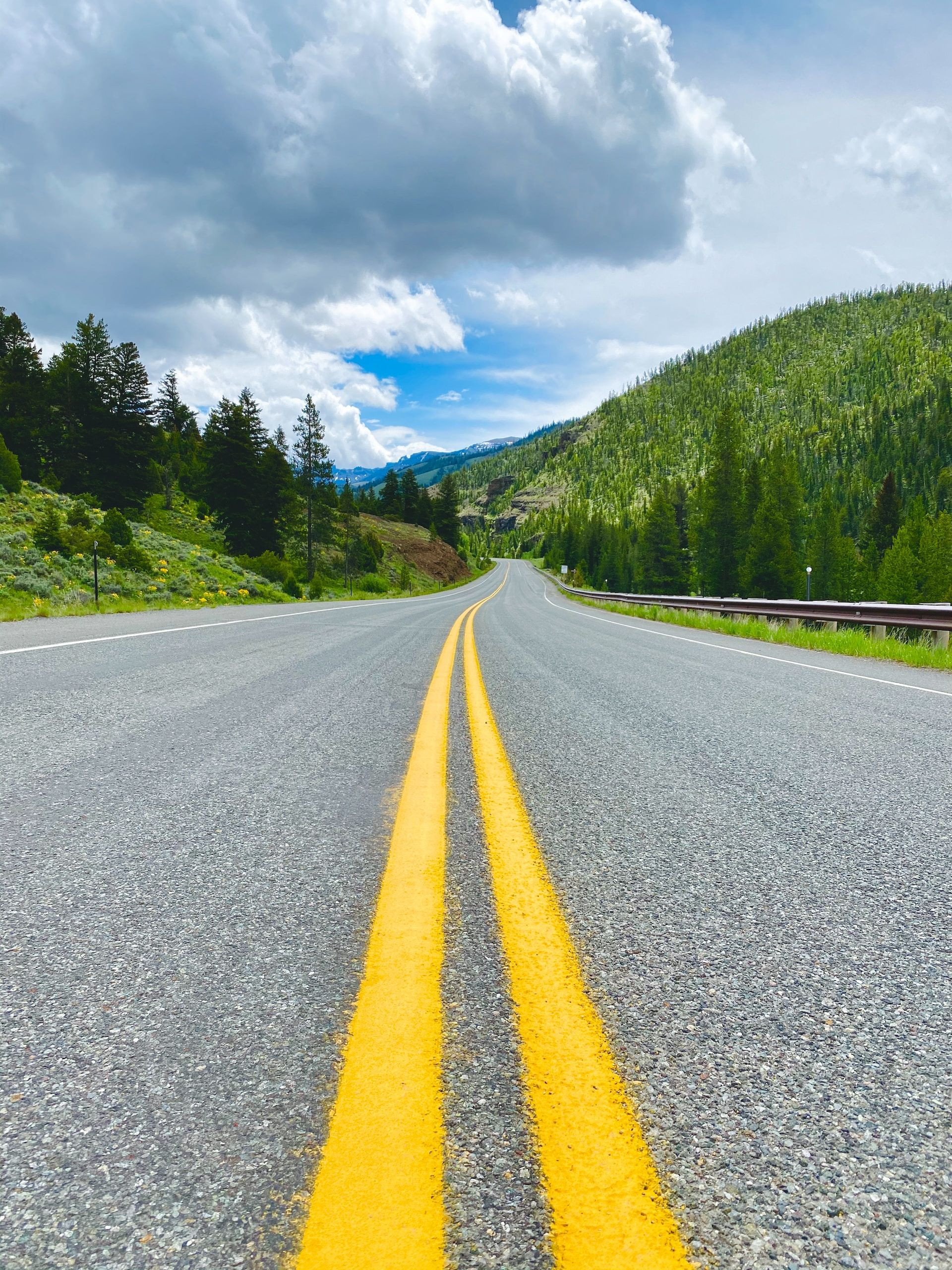 Road in Shoshone National Forest, Wyoming