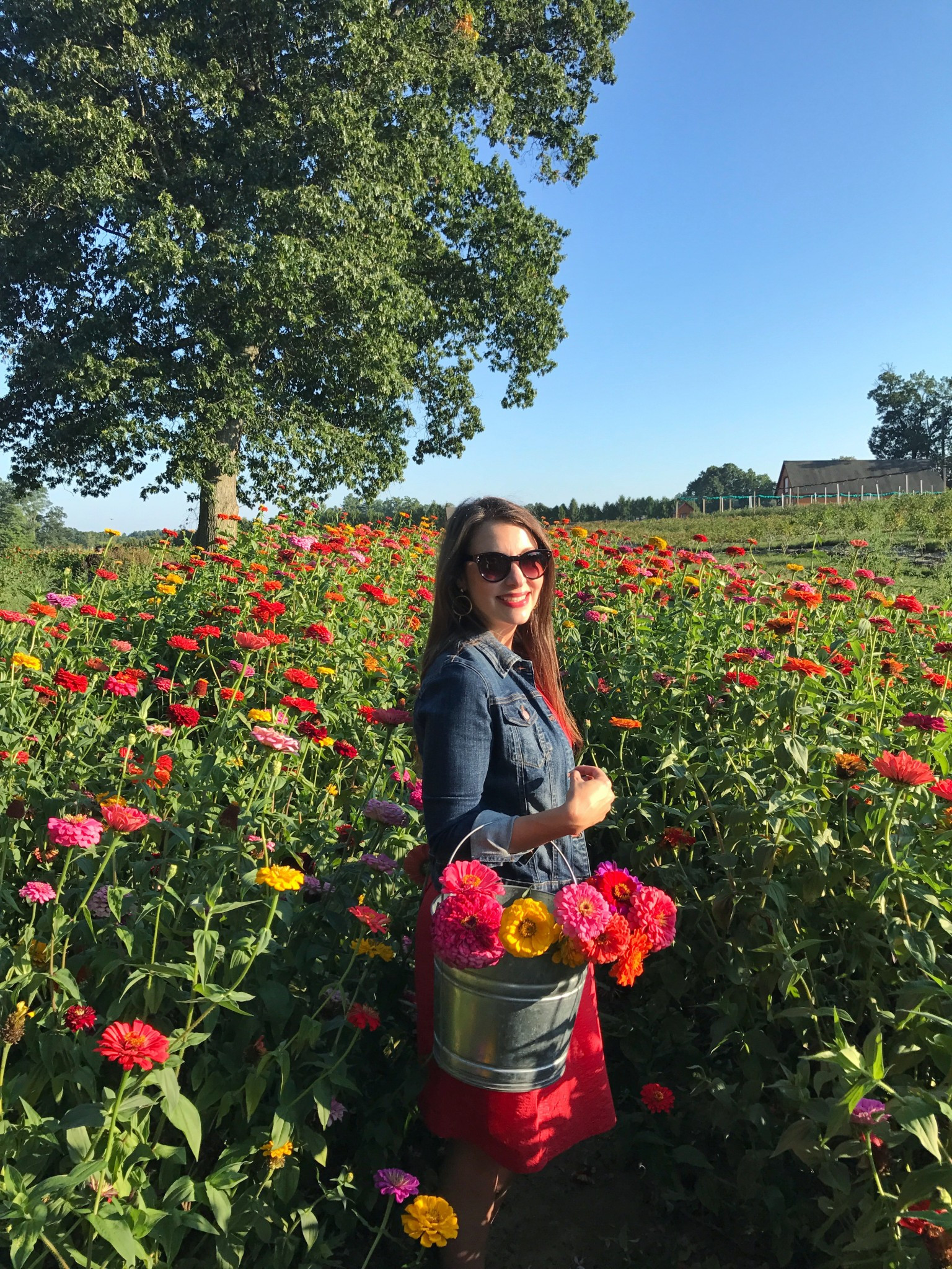 A vibrant assortment of pick-your-own flowers at Indian Head Farm, a scenic and bountiful farm near Boston.