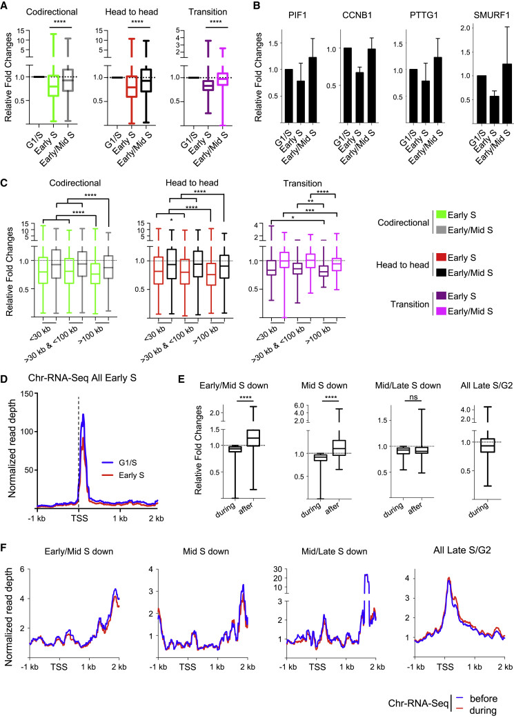 G-MiDS and replication timing