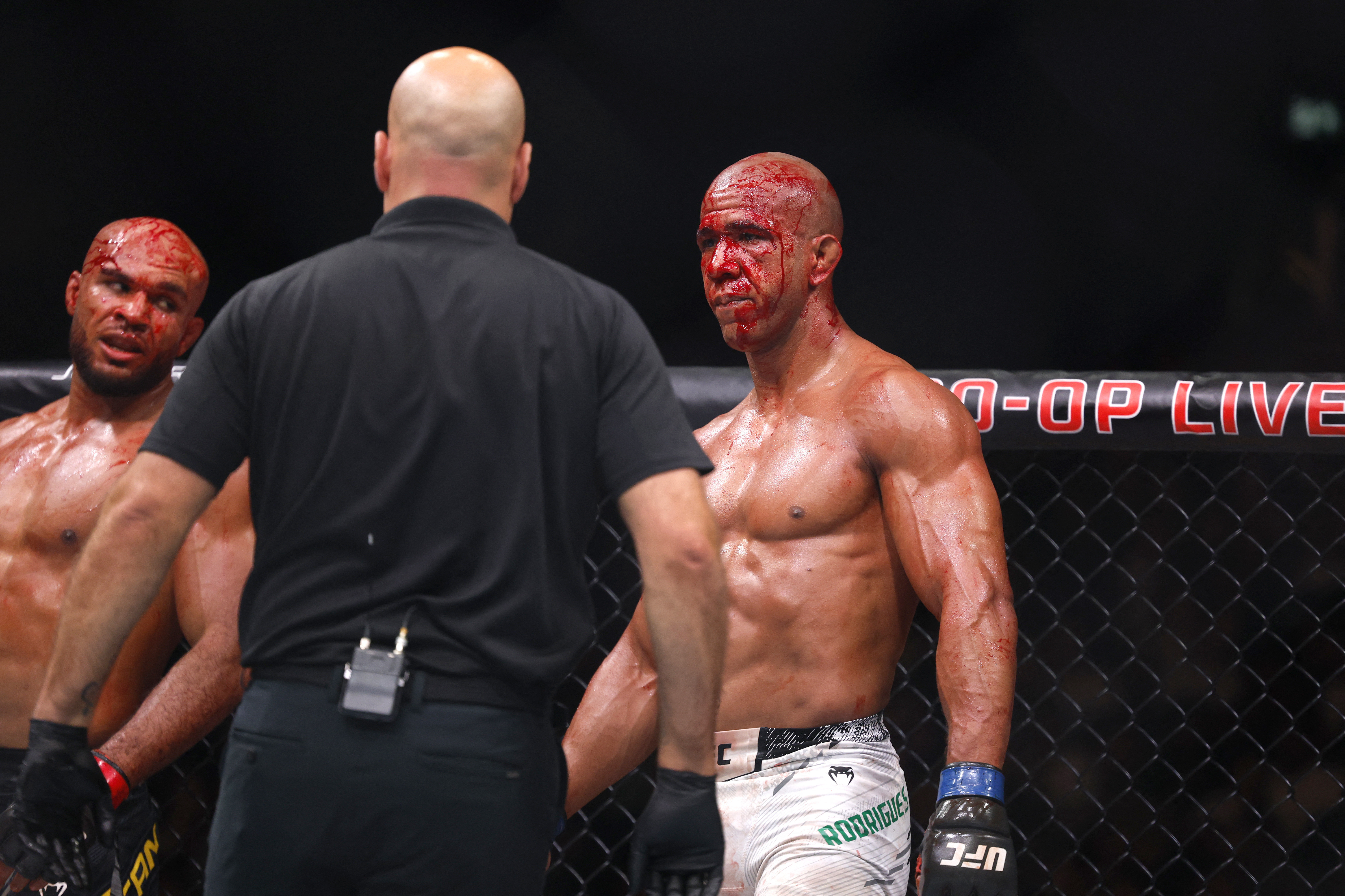 Gregory Rodrigues during a UFC fight