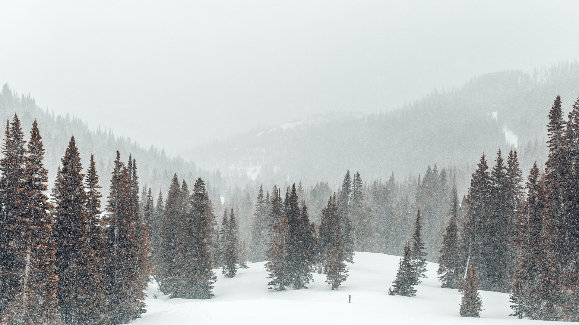 A wintery wilderness in Big Sky, Montana 