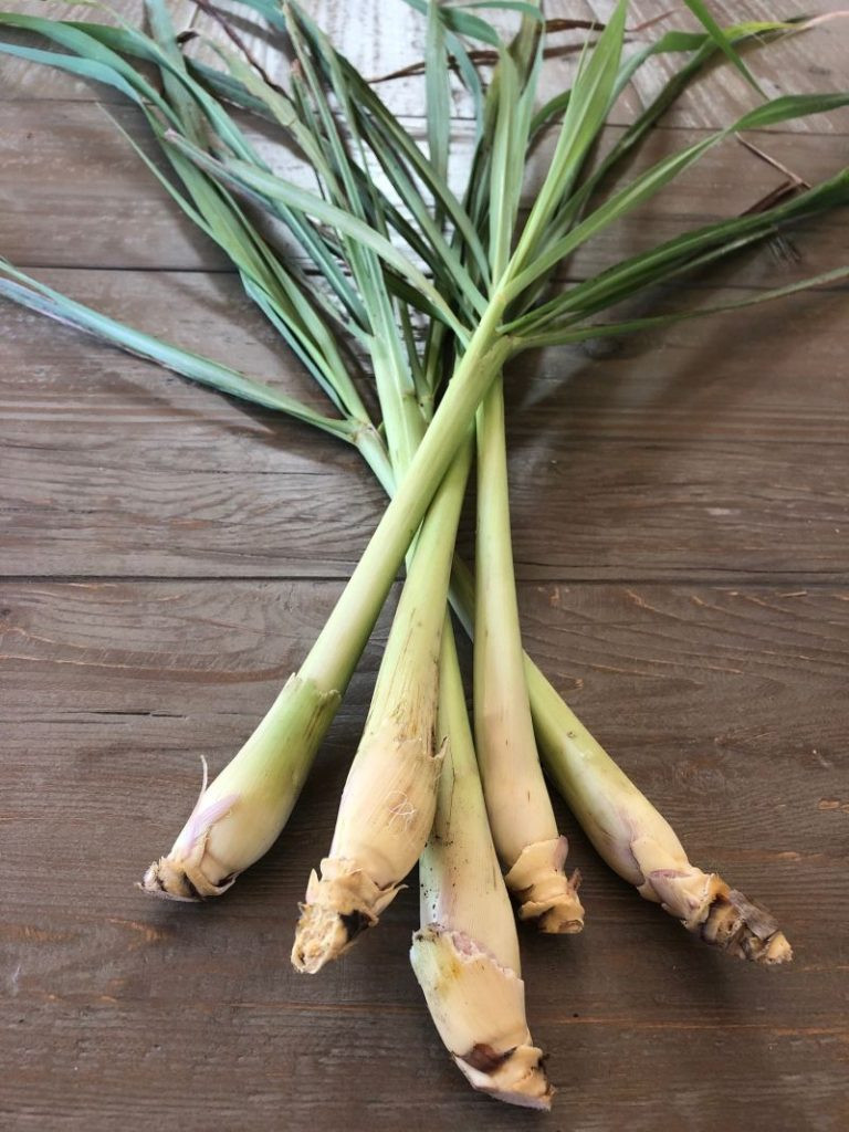 Fresh lemongrass stalks, showcasing their vibrant green color and firm texture