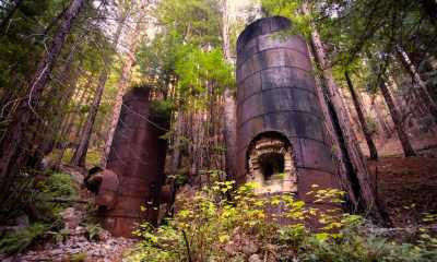 Limekiln State Park