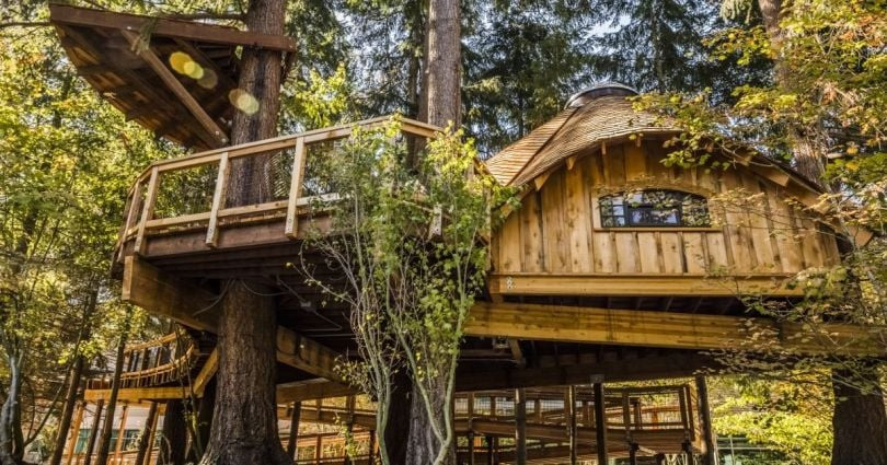 Microsoft Redmond Campus Treehouse Meeting Space