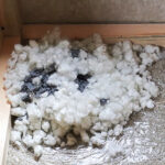 Rat nest made of insulation in an attic