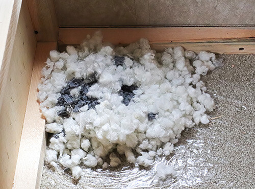 Rat nest made of insulation in an attic