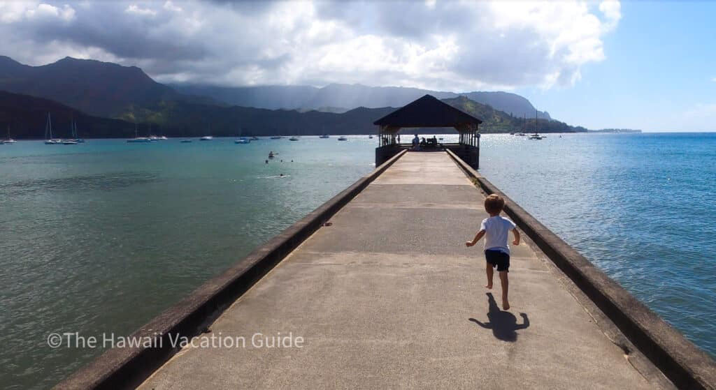 Hanalei Valley Lookout view