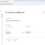 Firefox Logins and Passwords Access