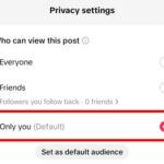 Privacy Settings Tab for TikTok Draft