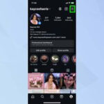 Instagram profile settings