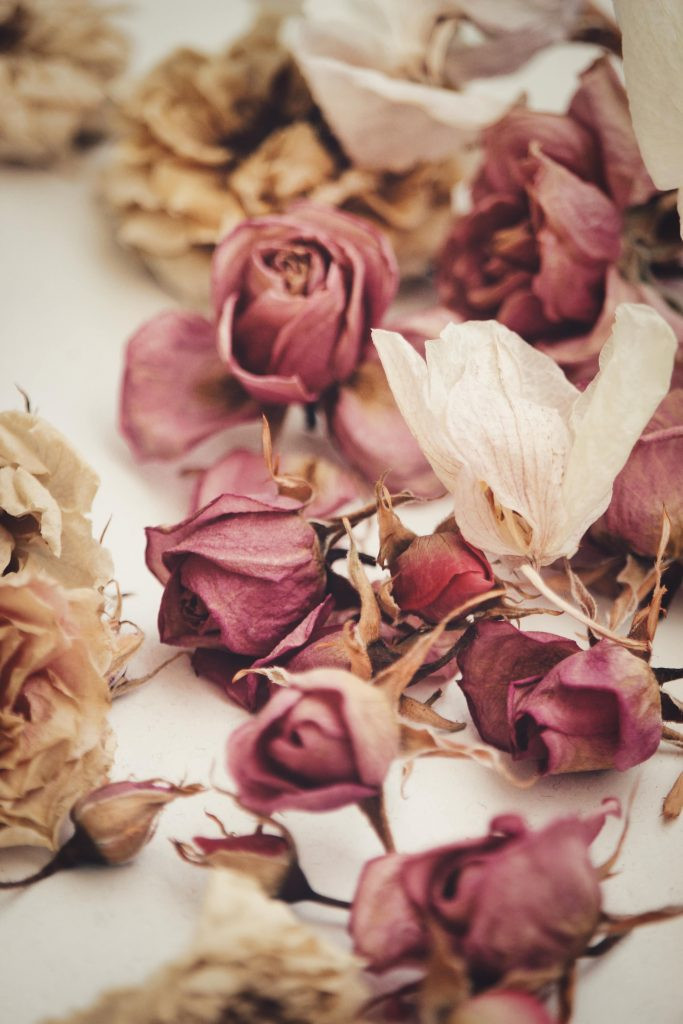 Close-up of dried roses in a vase, demonstrating air drying in a vase as a simple way to preserve miniature or spray roses
