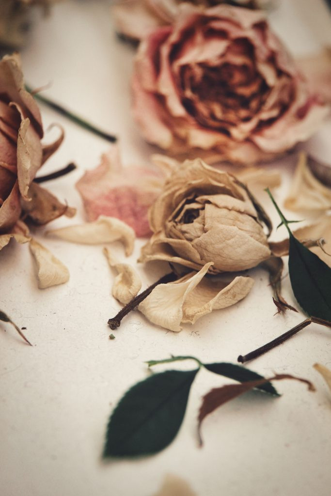 Hanging roses upside down to dry, showcasing a simple and effective air-drying technique for preserving roses