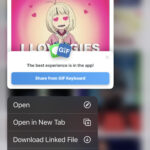 iPhone displaying various methods to save GIFs