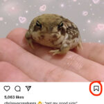 Instagram bookmark tool