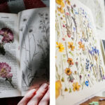 pressing flowers using book