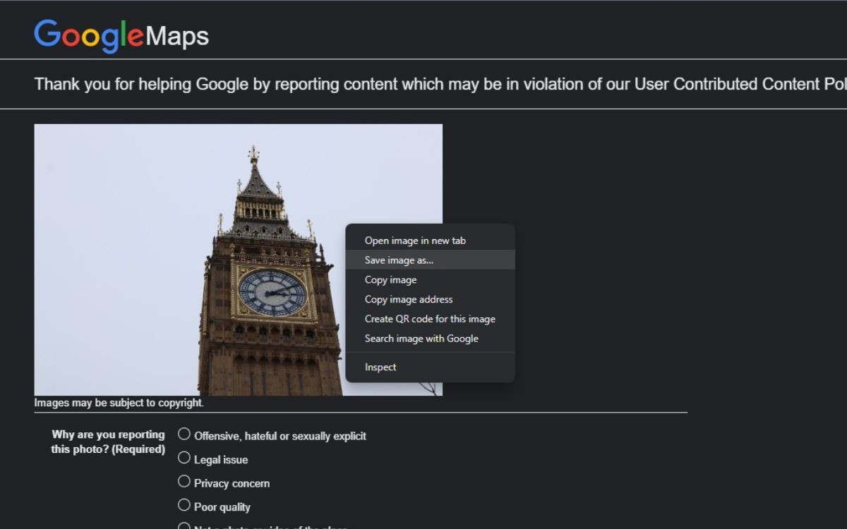 Saving a Google Maps image from the report page