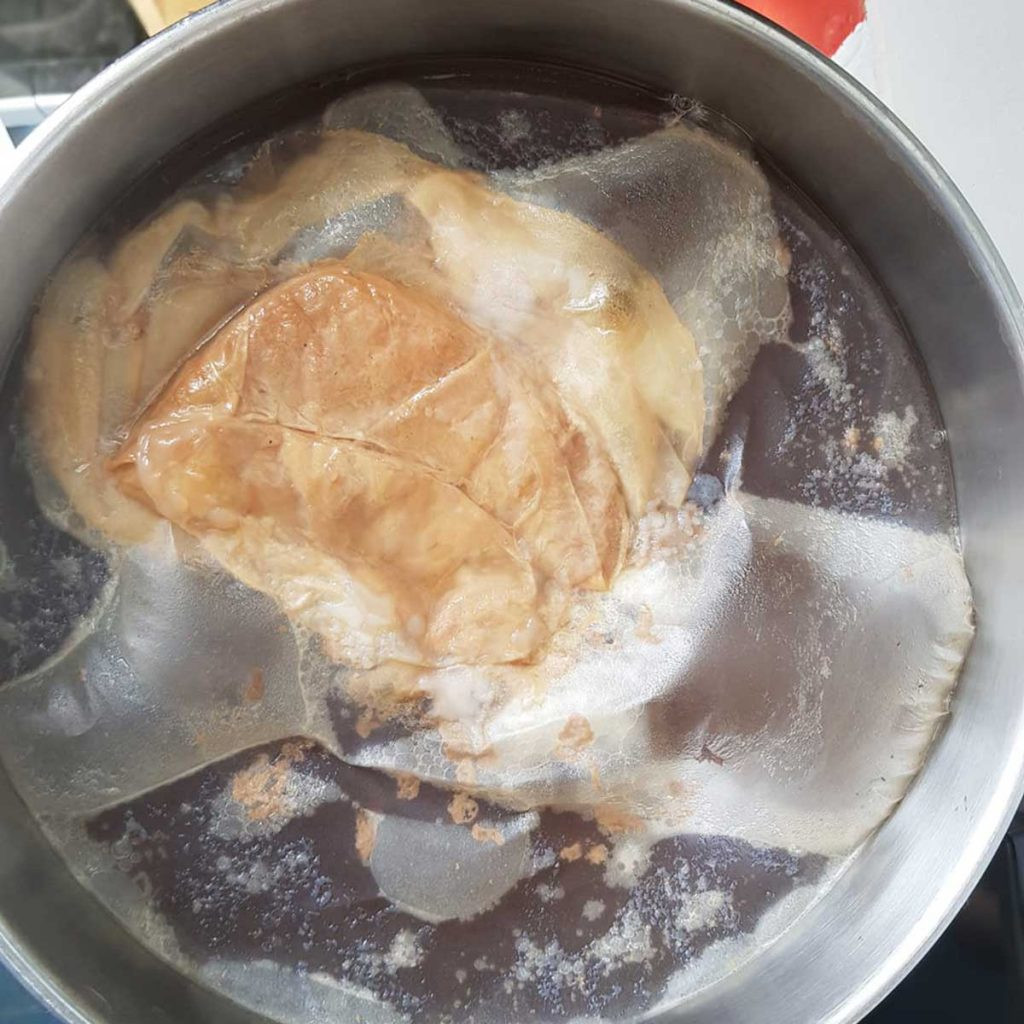 Picture of healthy kombucha SCOBY
