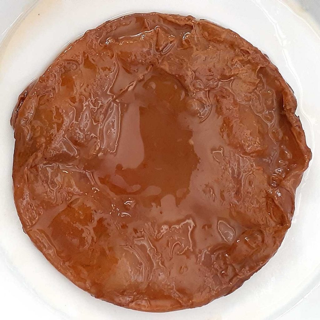 Picture of healthy kombucha SCOBY