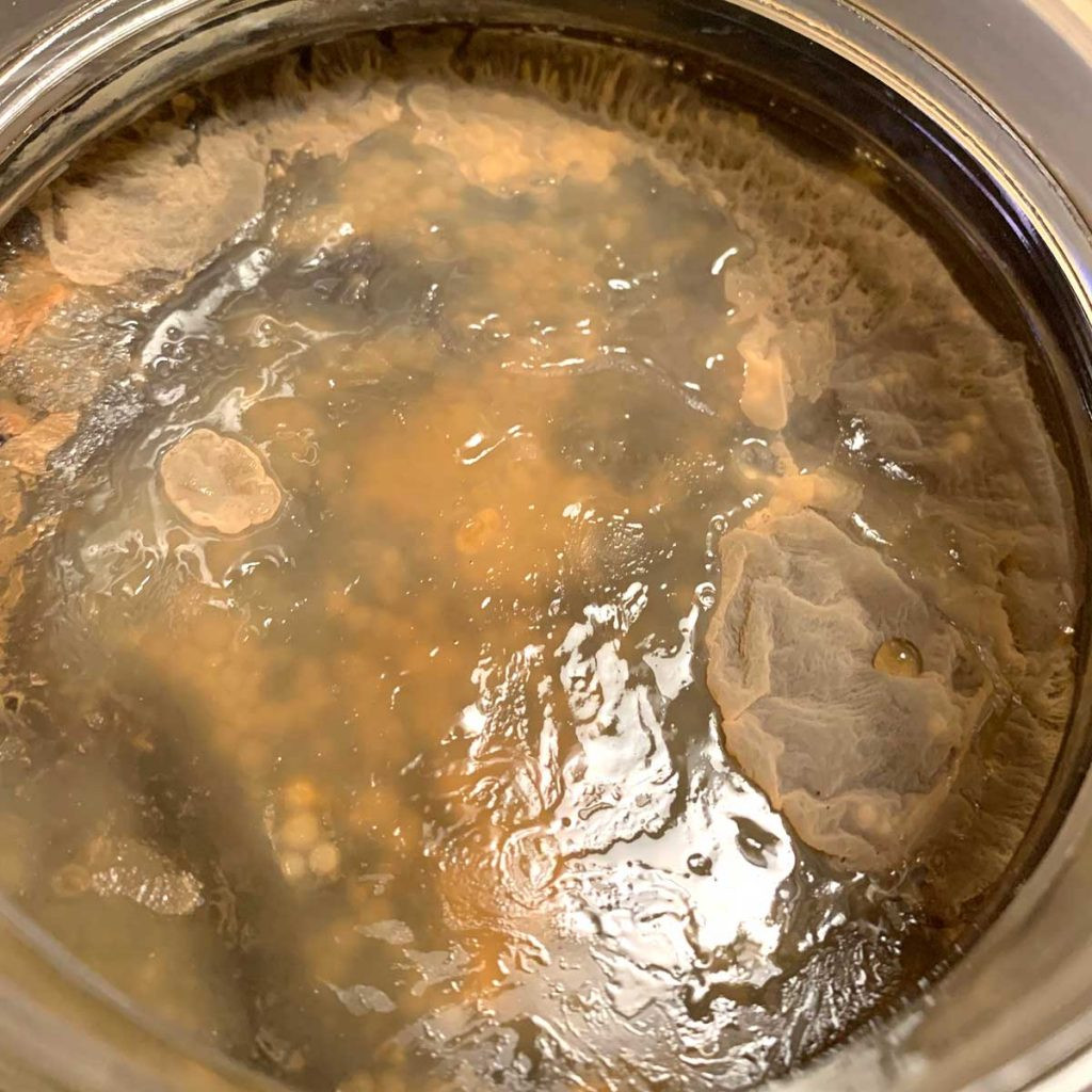healthy kombucha scoby