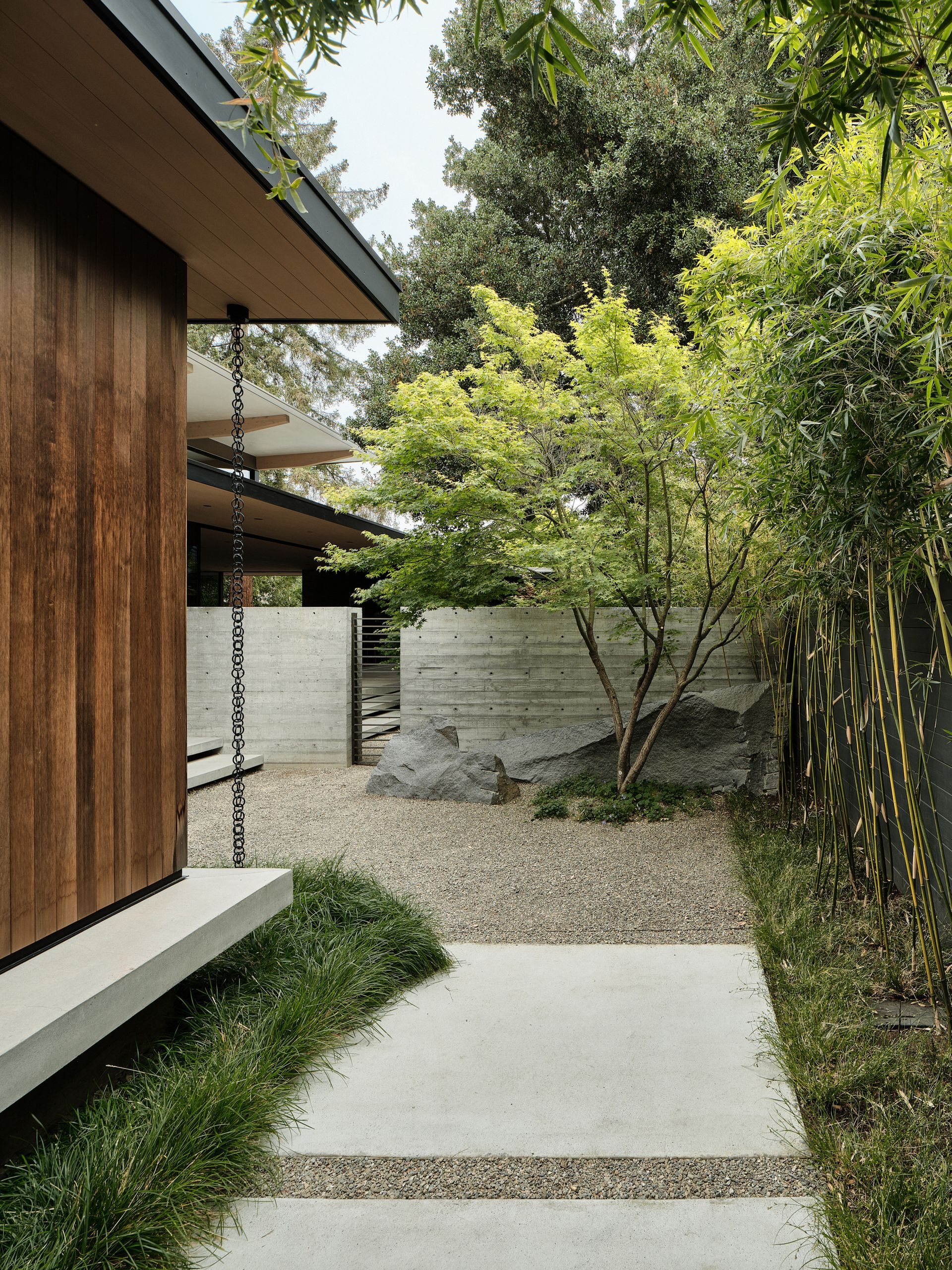 A bamboo fence along the perimeter of a backyard